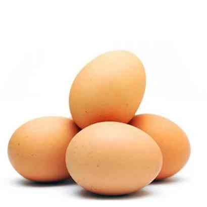 Layer Chicken Egg